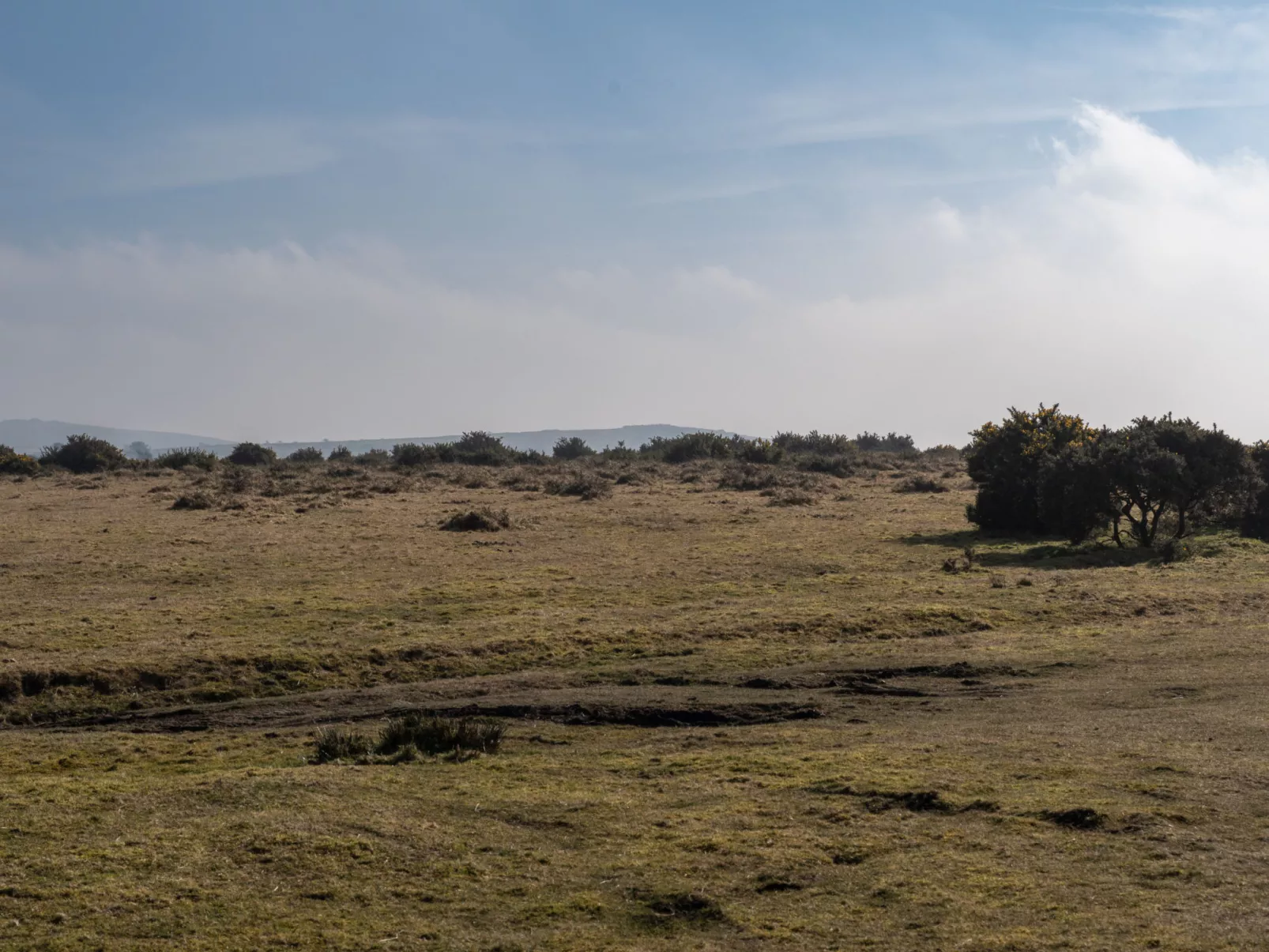 Trippet Cottage at Bodmin Moor