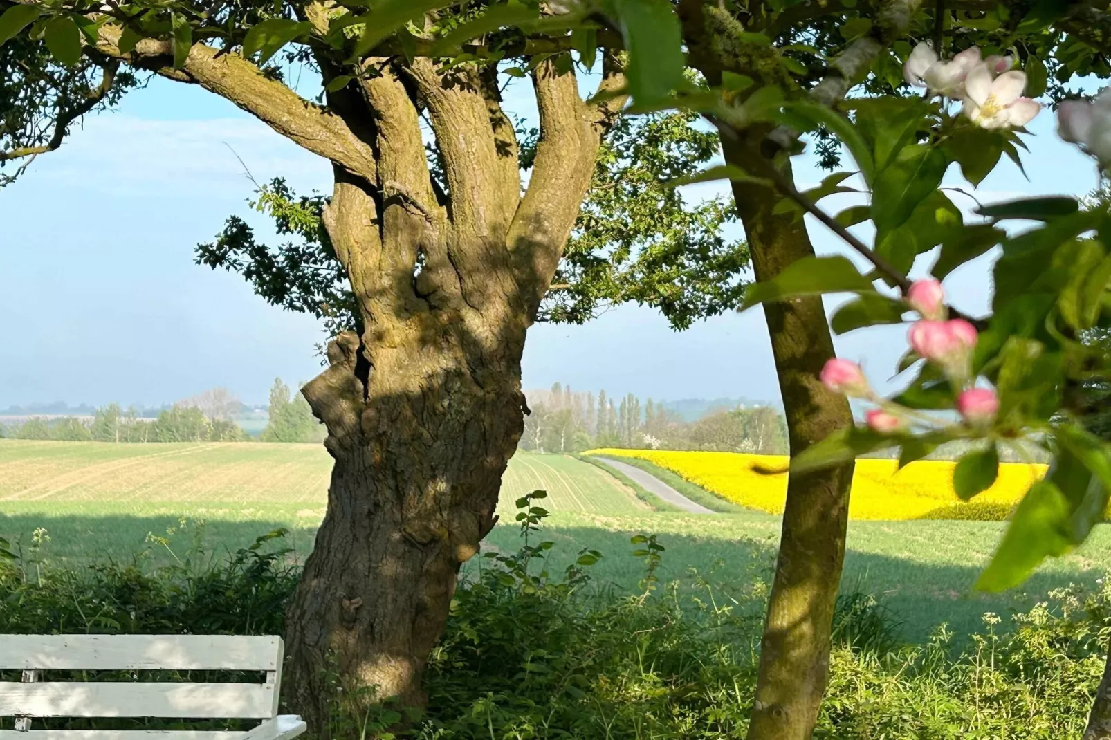 5 sterren vakantie huis in Borre