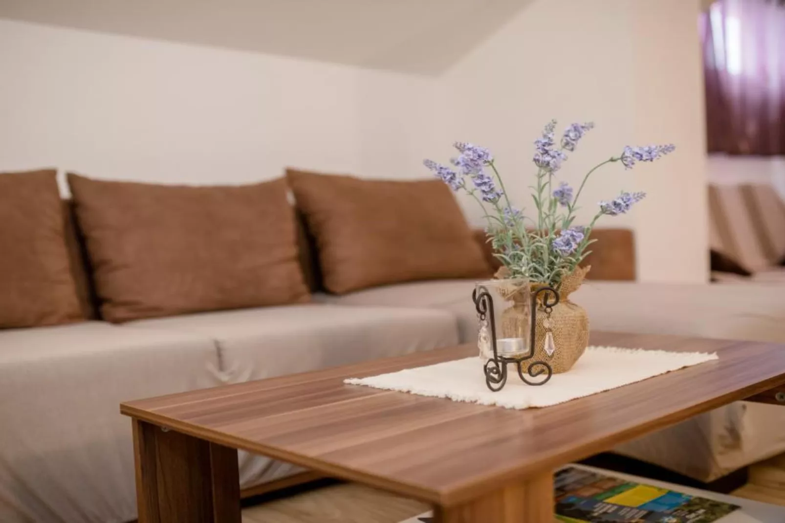 One Bedroom Apartment with Terrace 3