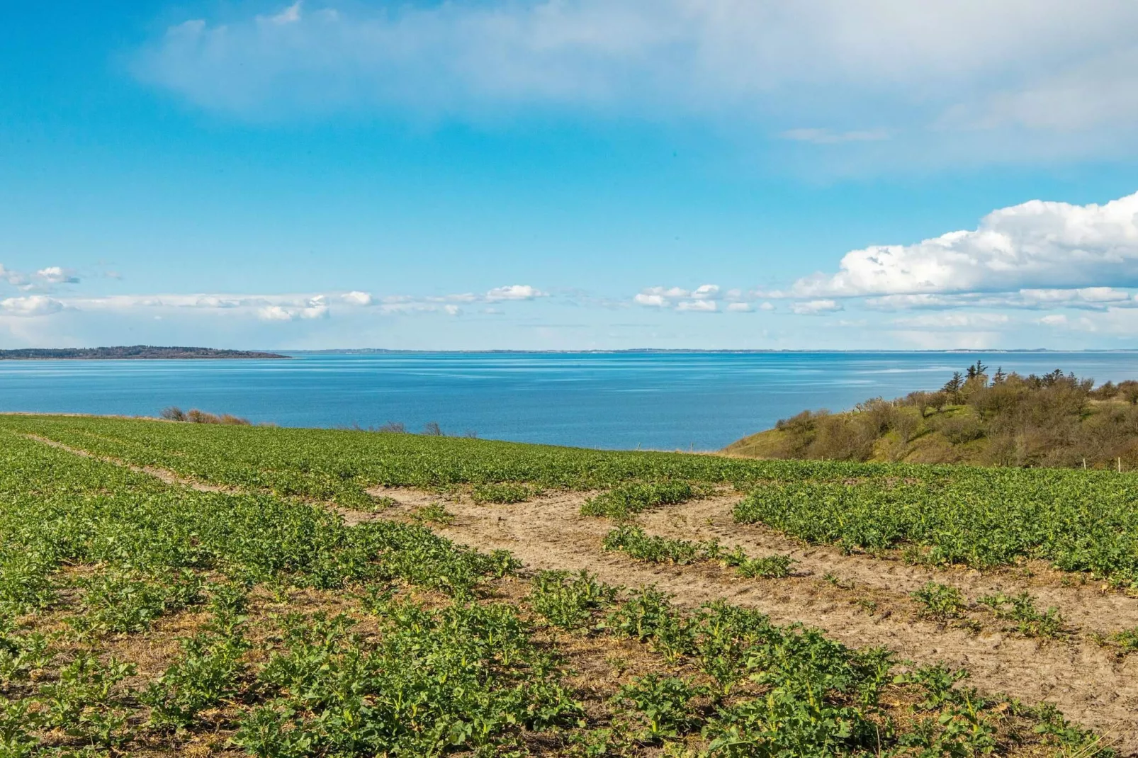 4 sterren vakantie huis in Ranum