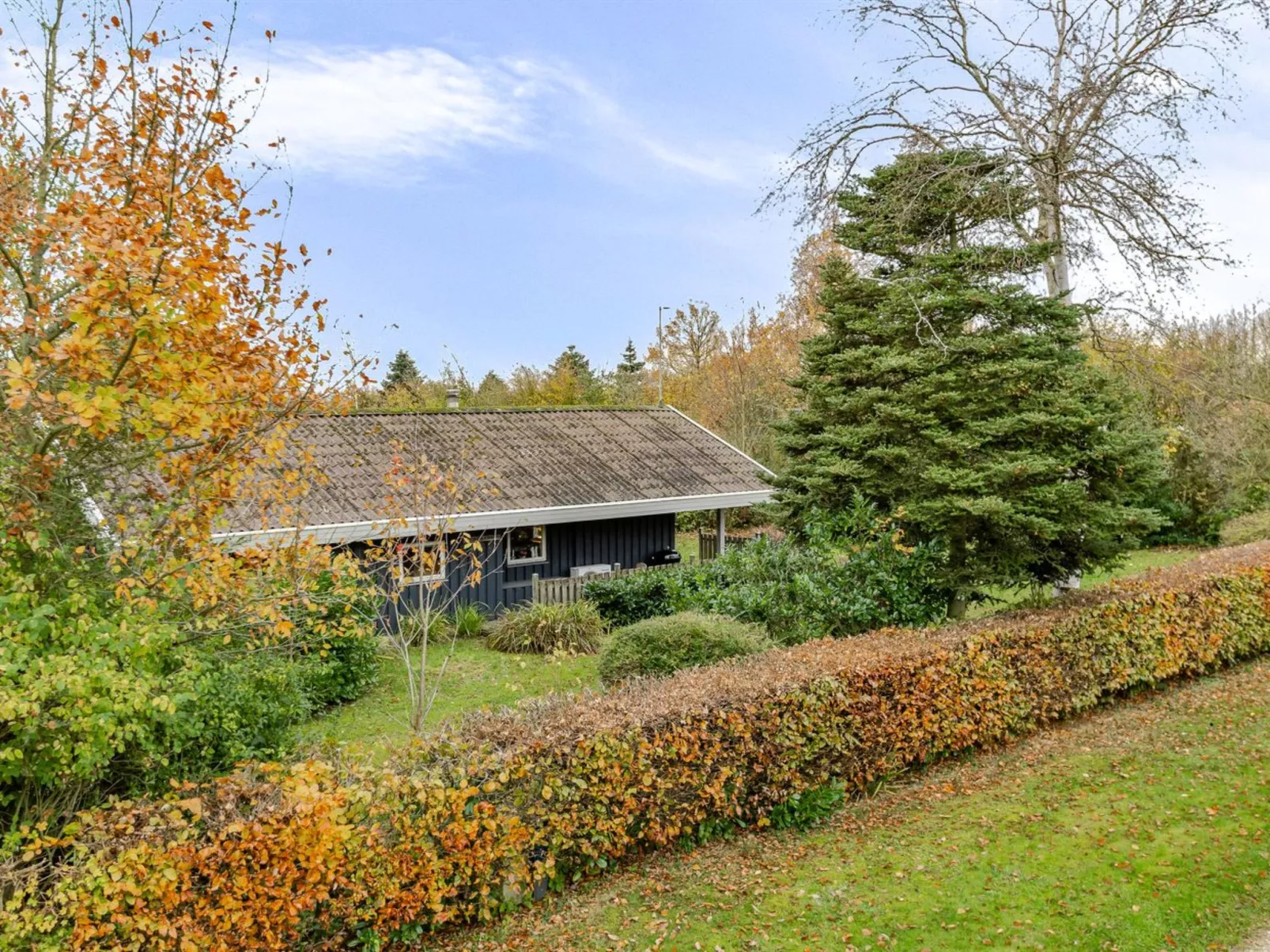 "Mika" - 300m from the sea