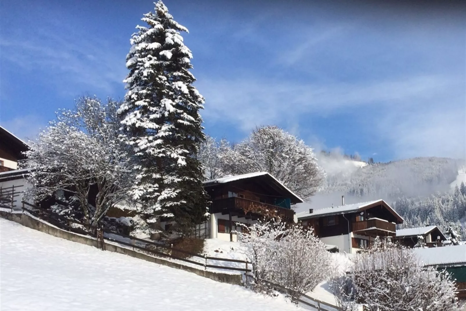 Chalet Anna-Exterieur winter