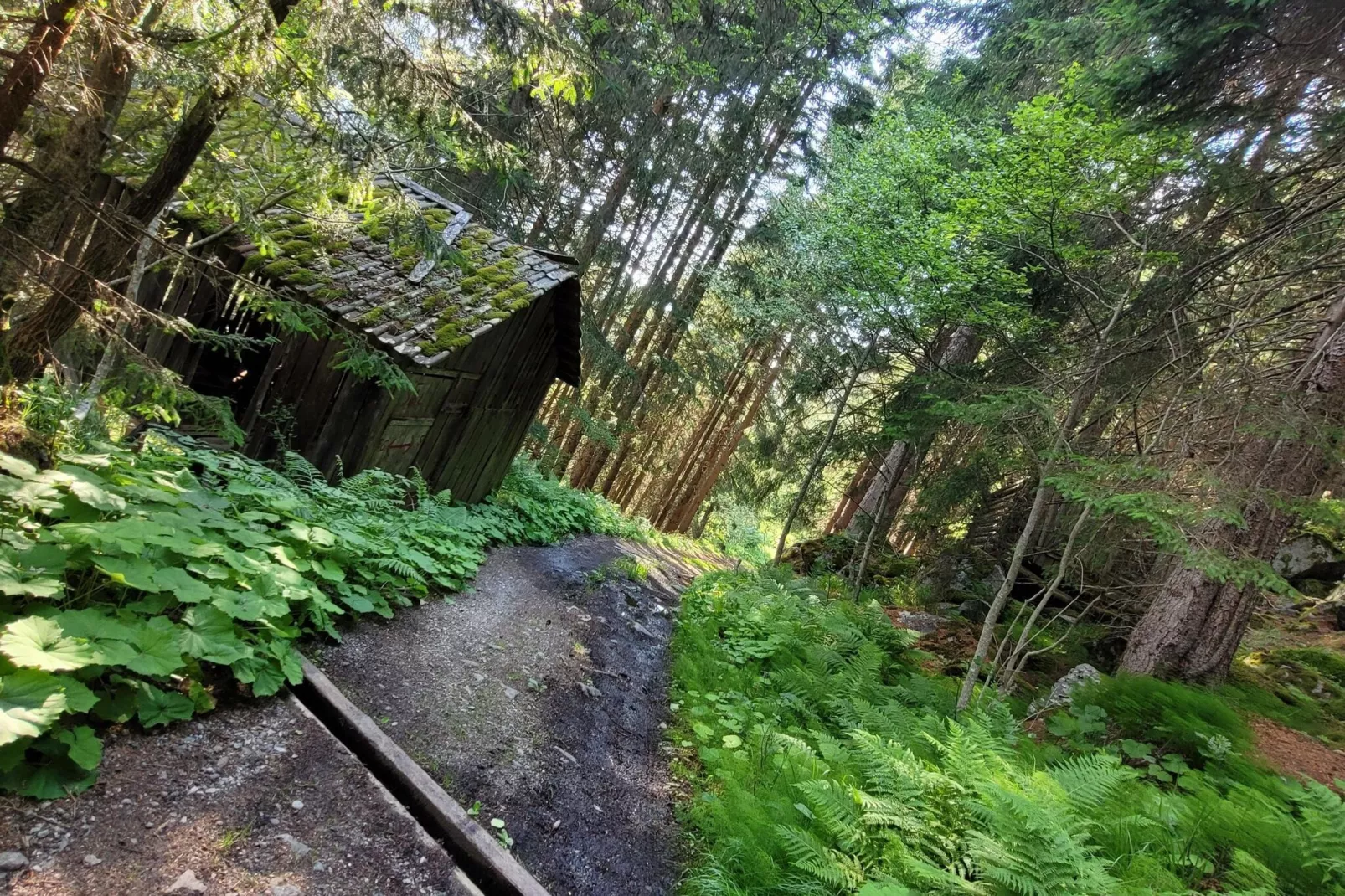 Apart Söllberg-Gebieden zomer 5km