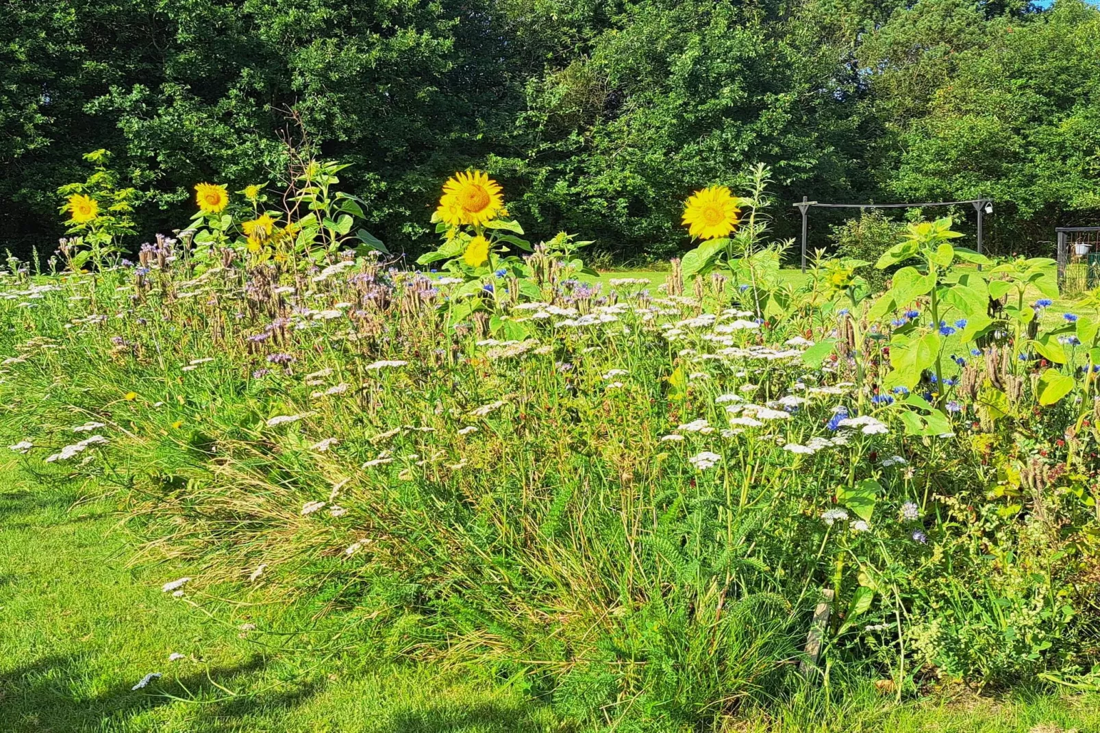Sfeervolle Fjordhut-By Traum-Niet-getagd