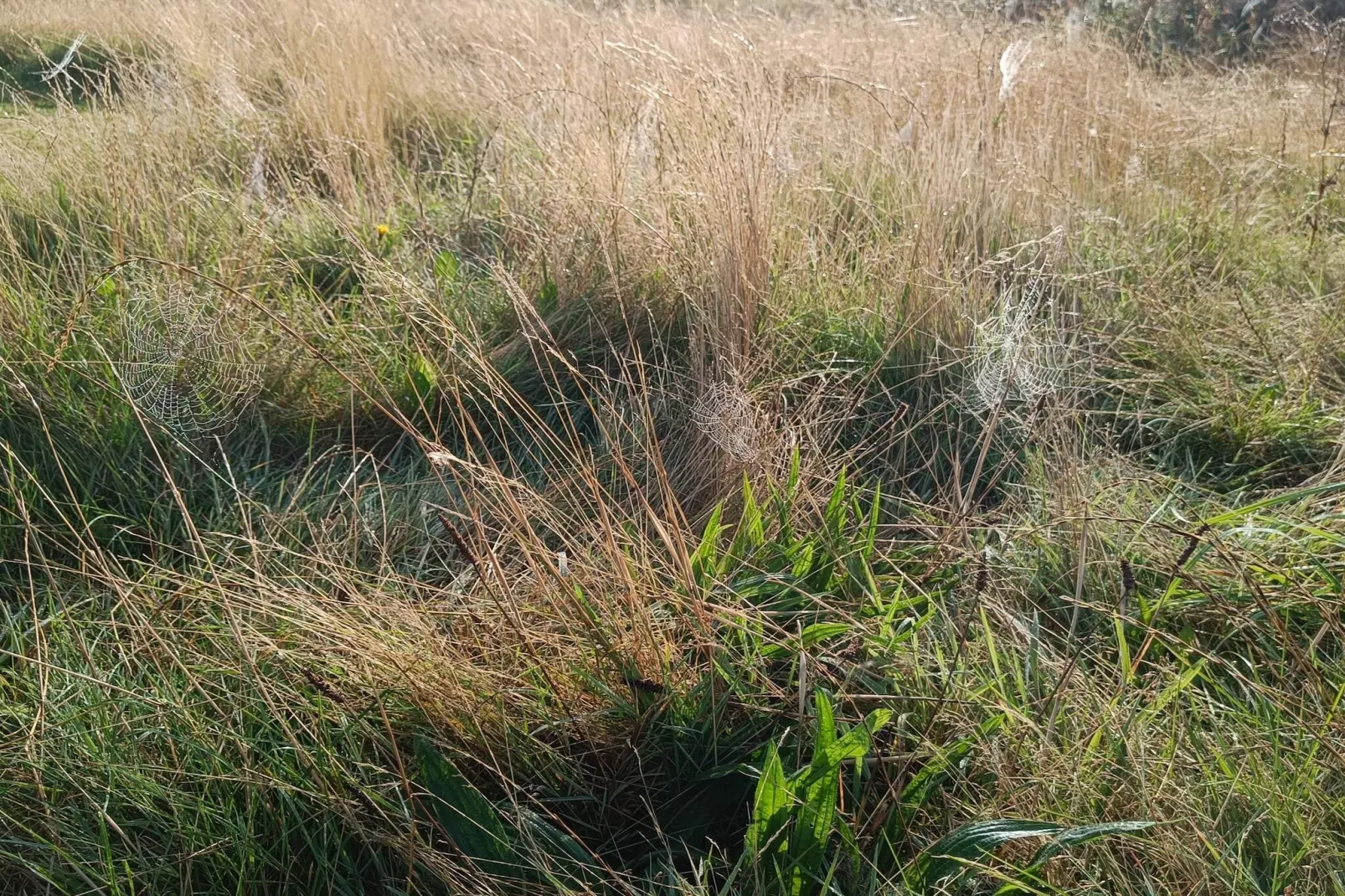 5 persoons vakantie huis in Lemvig-Niet-getagd