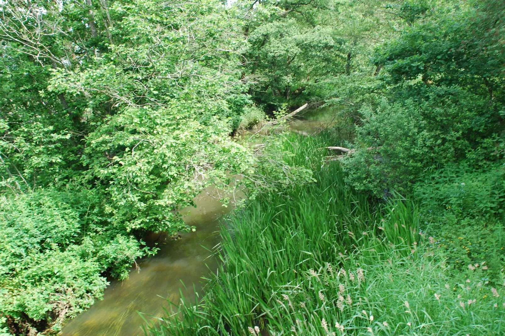 8 persoons vakantie huis in Gjern-Niet-getagd