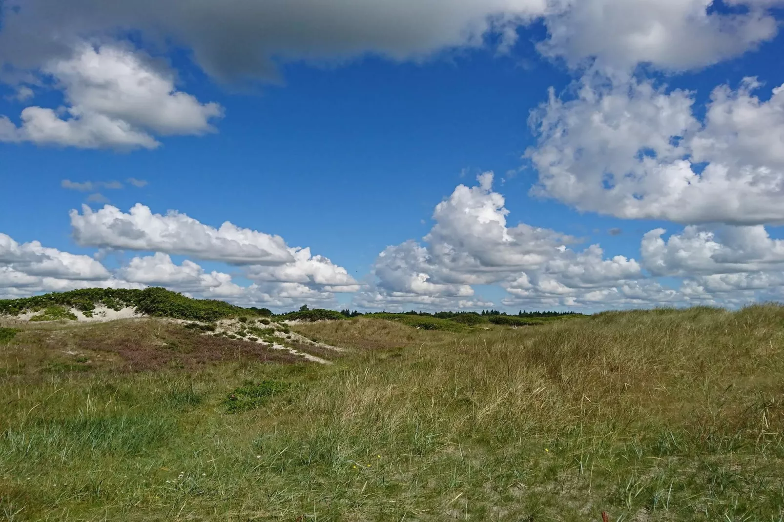 Rustig toevluchtsoord in Hou Oasis-By Traum-Niet-getagd