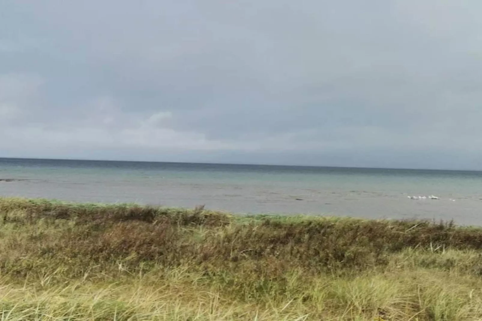 6 persoons vakantie huis in Nordborg-Waterzicht