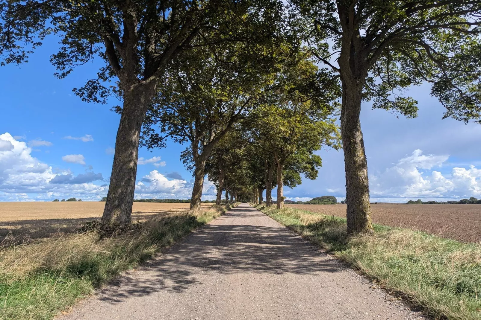 Kustcharme in Boged-By Traum-Niet-getagd