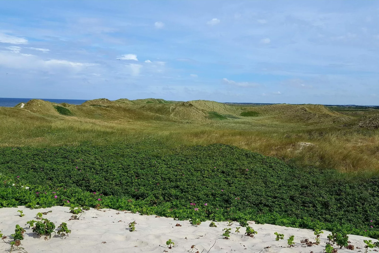 8 persoons vakantie huis in Ringkøbing-Niet-getagd