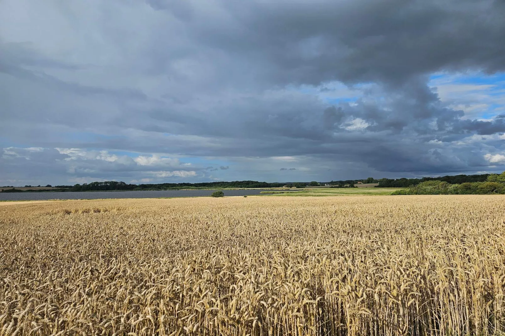 4 persoons vakantie huis in Assens-Niet-getagd