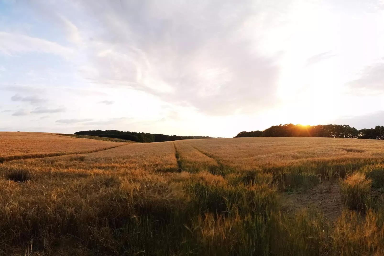 6 persoons vakantie huis in Hejls