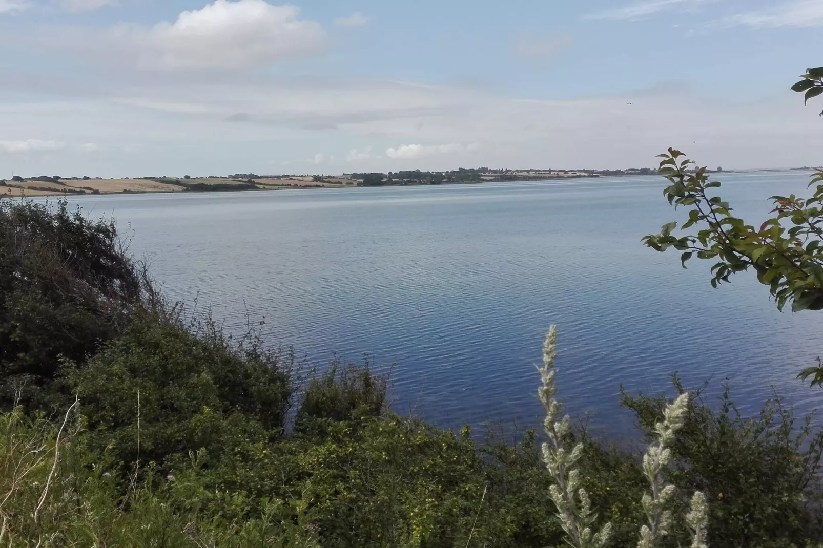 5 persoons vakantie huis in Millinge-Waterzicht