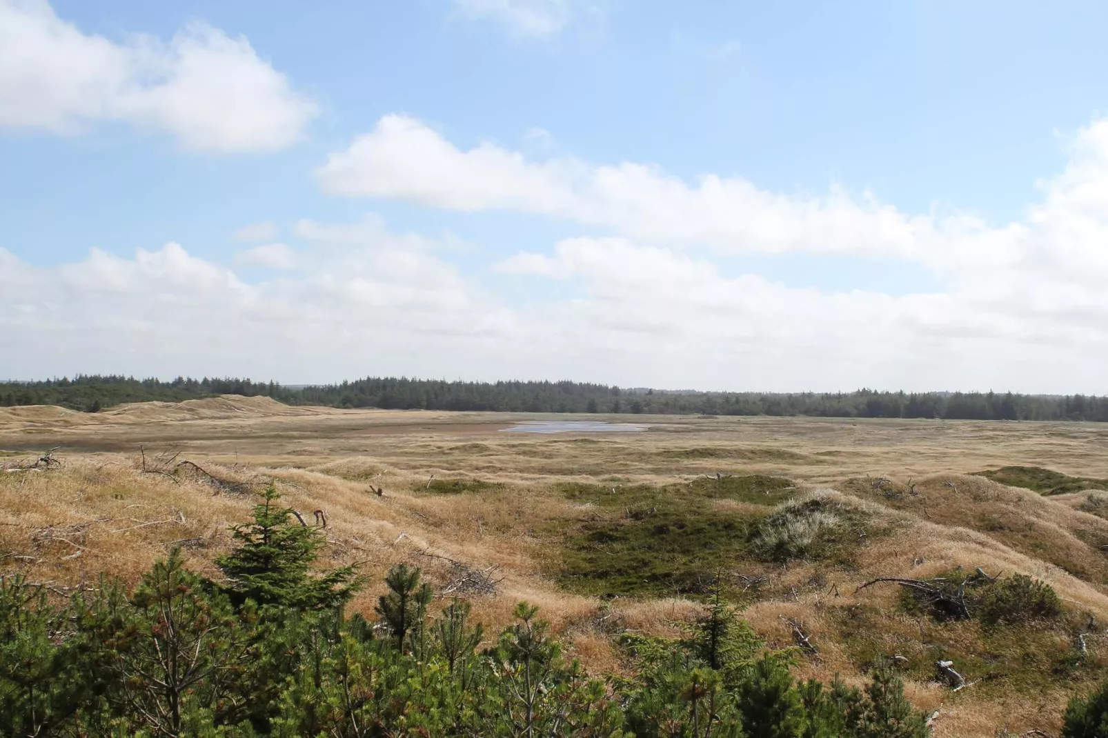 6 persoons vakantie huis in Thisted-Niet-getagd