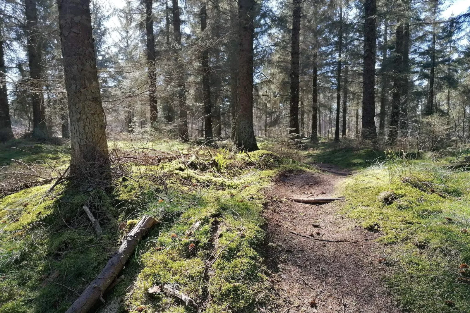 7 persoons vakantie huis in Grenaa-Niet-getagd