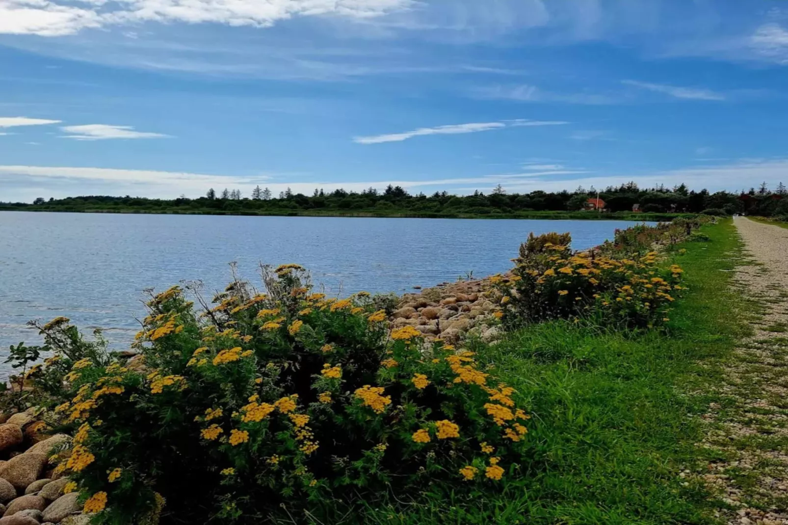 4 persoons vakantie huis in Henne-Waterzicht