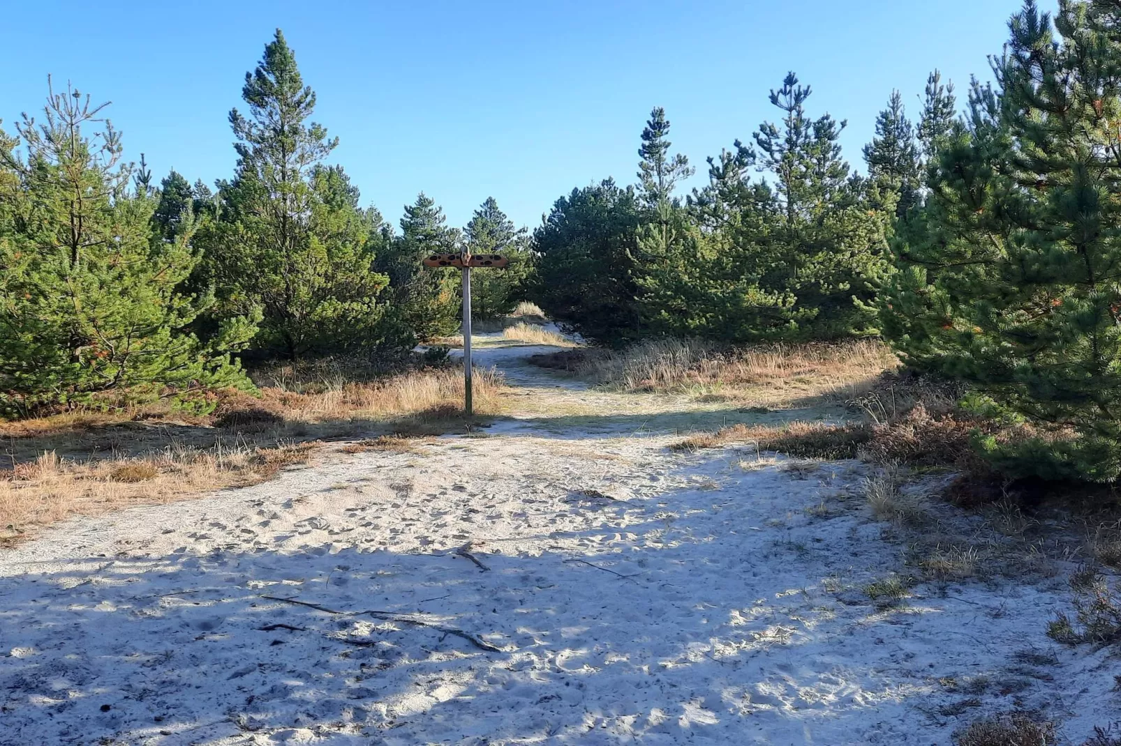 6 persoons vakantie huis in Nørre Nebel-Niet-getagd