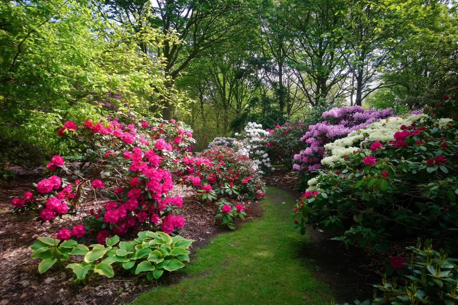 Historische Watertoren Toevluchtsoord-By Traum-Niet-getagd