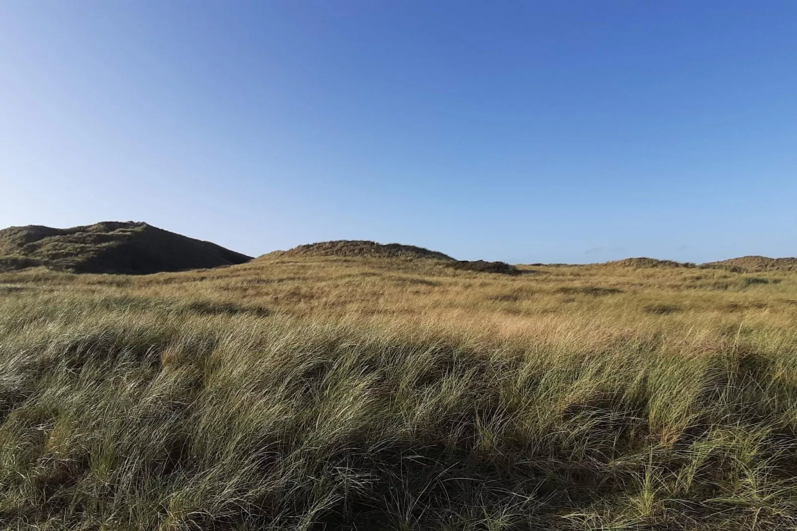 8 persoons vakantie huis in Ulfborg-Niet-getagd