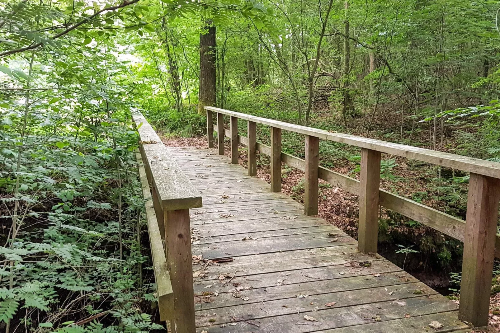 Moderne Cottage-oase in Arrild-Buitenlucht