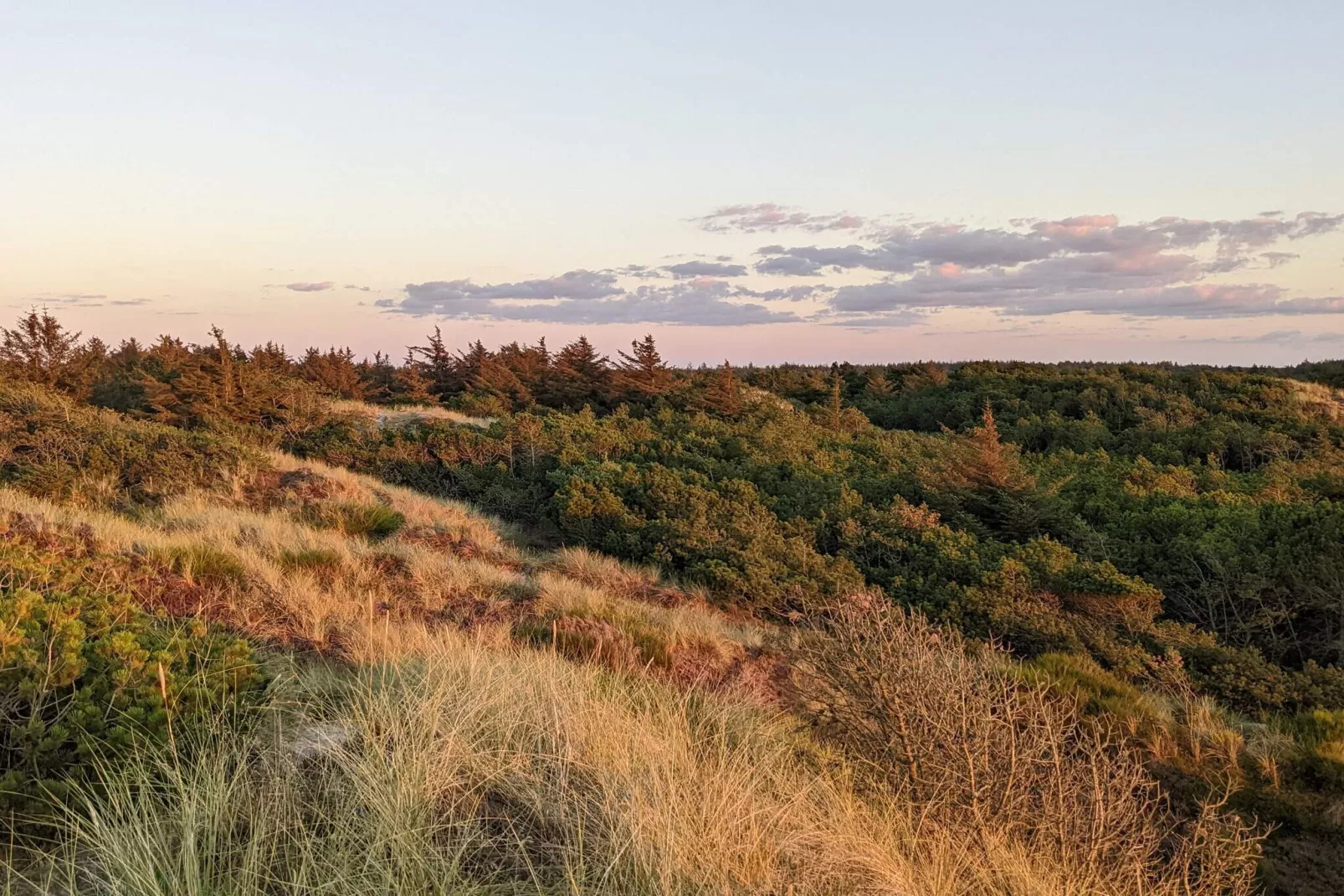 5 persoons vakantie huis in Vejers Strand-Niet-getagd