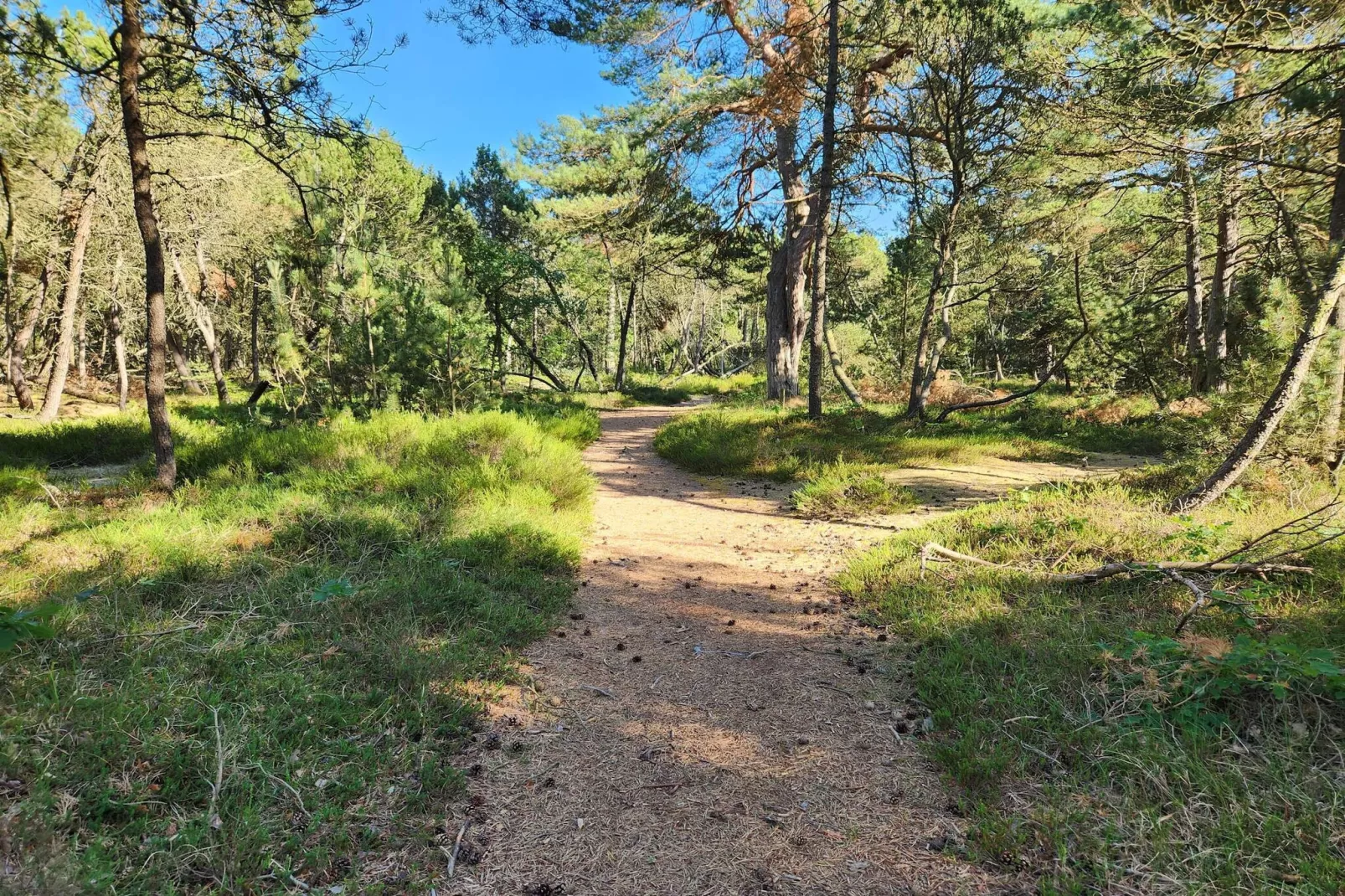 6 persoons vakantie huis in Hadsund-Niet-getagd