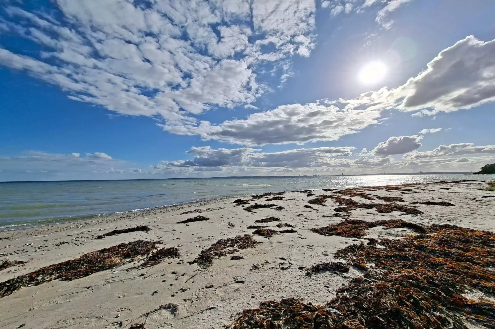 Kustsereniteit in SkAdshoved-By Traum-Waterzicht