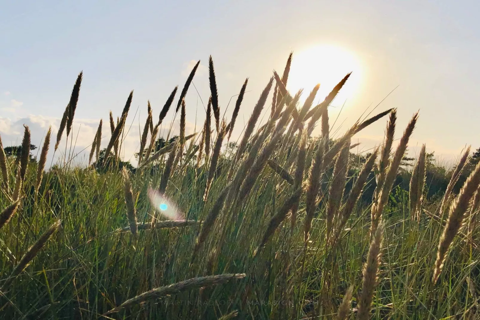 16 persoons vakantie huis in Væggerløse-Niet-getagd