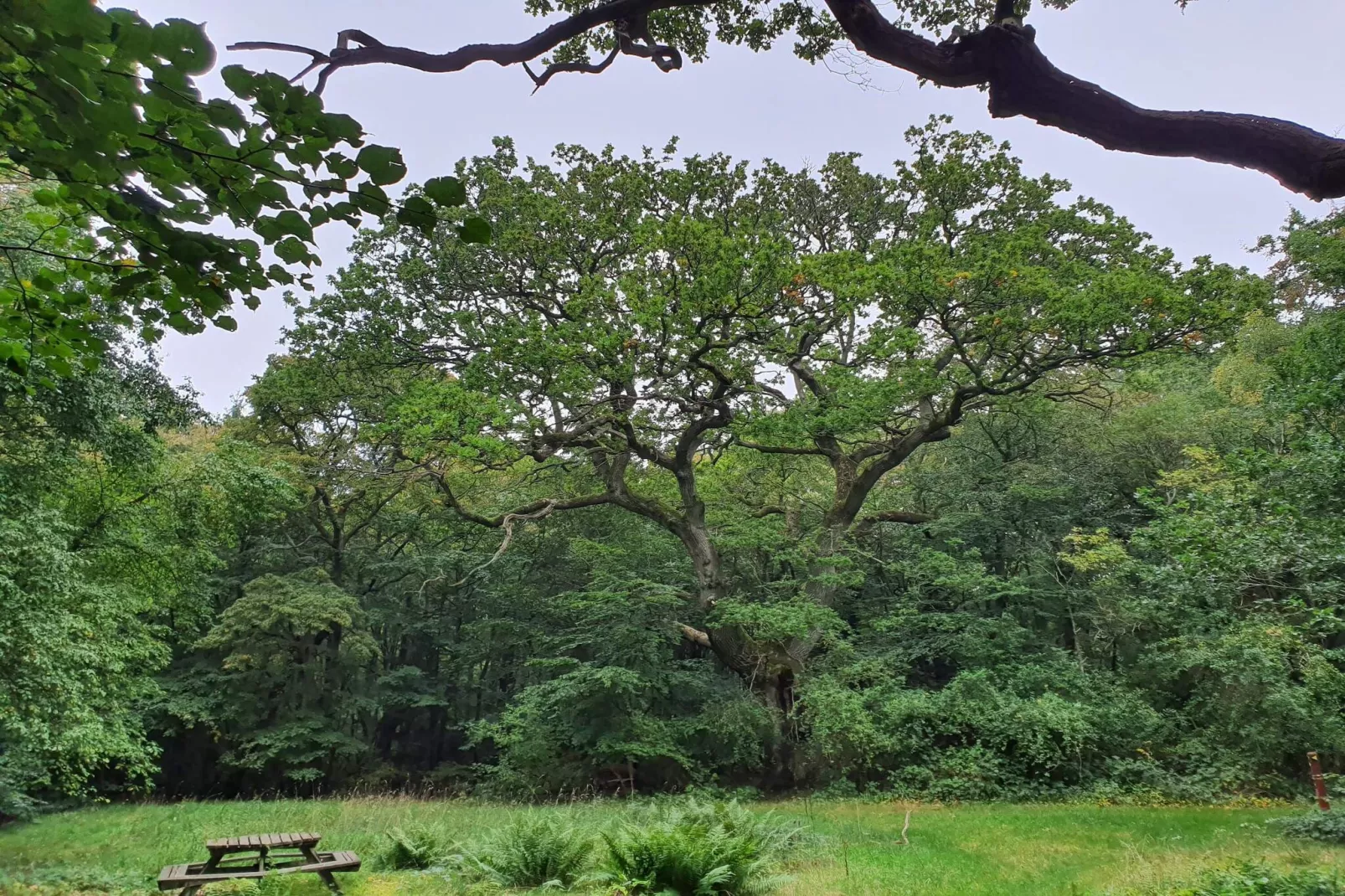 10 persoons vakantie huis in Stege-Niet-getagd