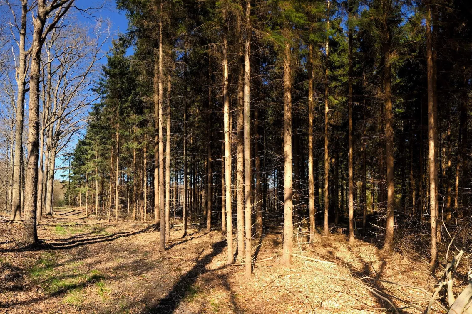 4 persoons vakantie huis in Karrebæksminde-Niet-getagd