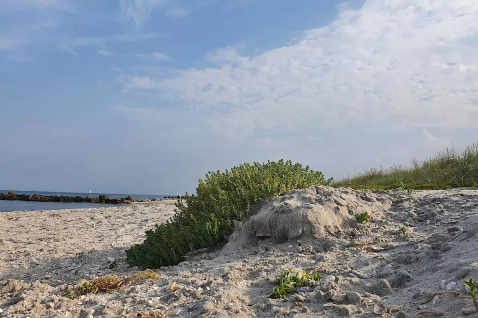 5 persoons vakantie huis in Frederikshavn-Waterzicht