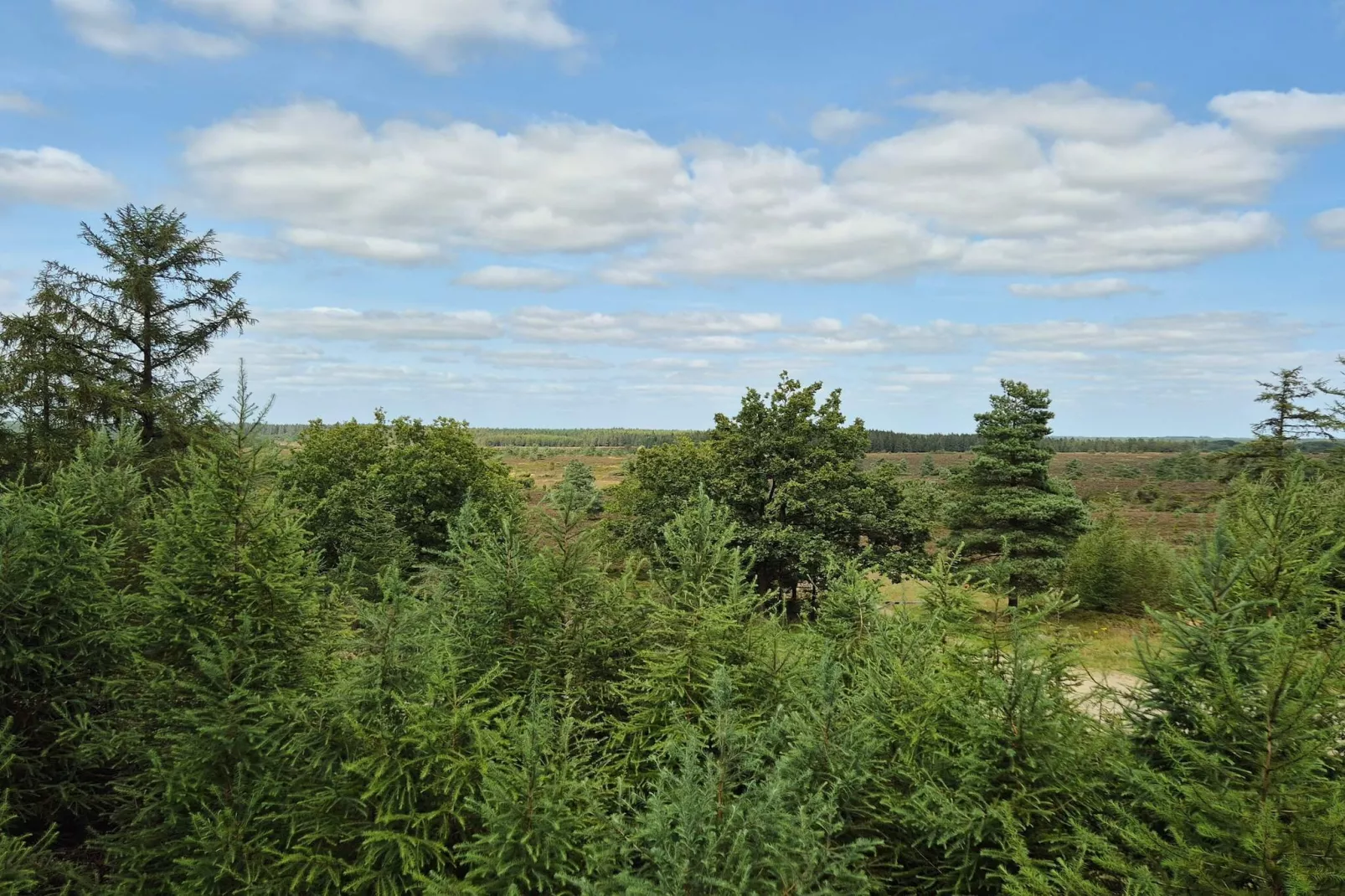 5 persoons vakantie huis in Hovborg-Niet-getagd