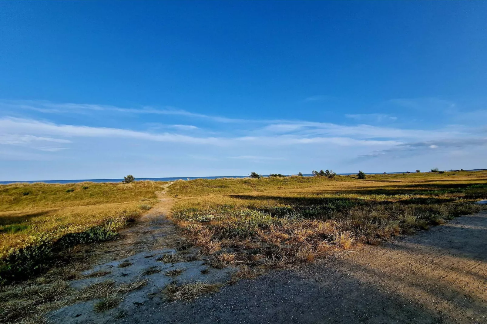 5 persoons vakantie huis in Væggerløse-Niet-getagd