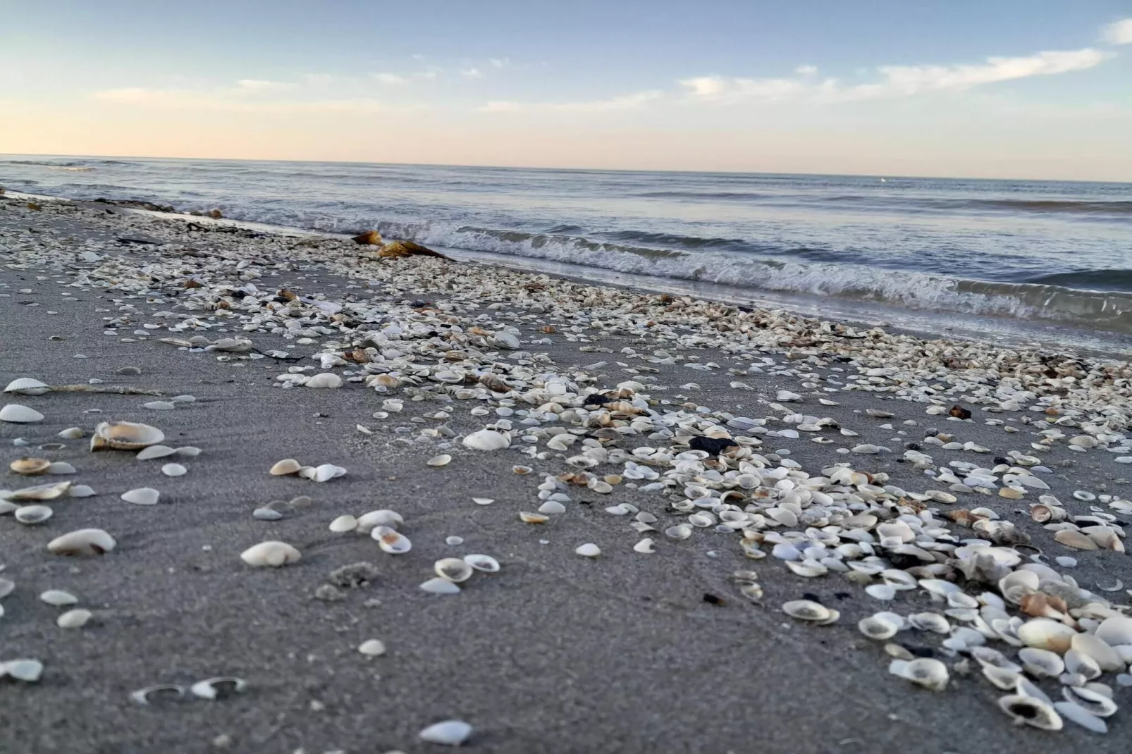 5-persoons vakantiehuis in Sæby-Waterzicht