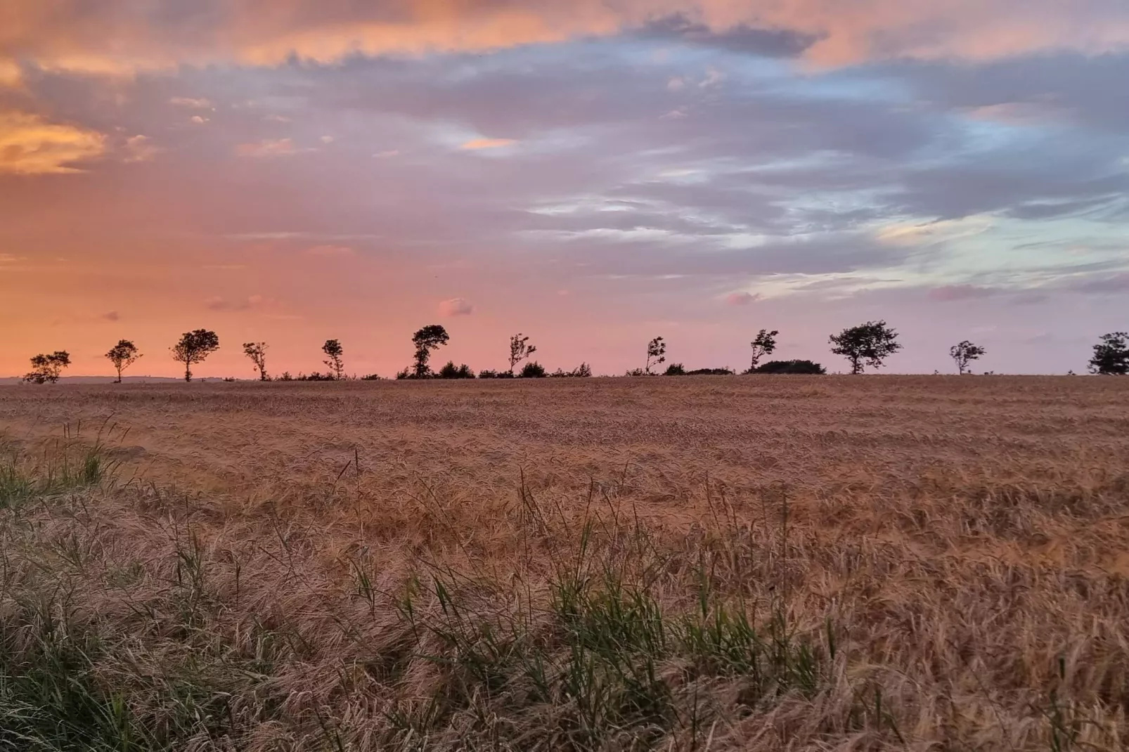 5 persoons vakantie huis in Roslev-By Traum-Niet-getagd