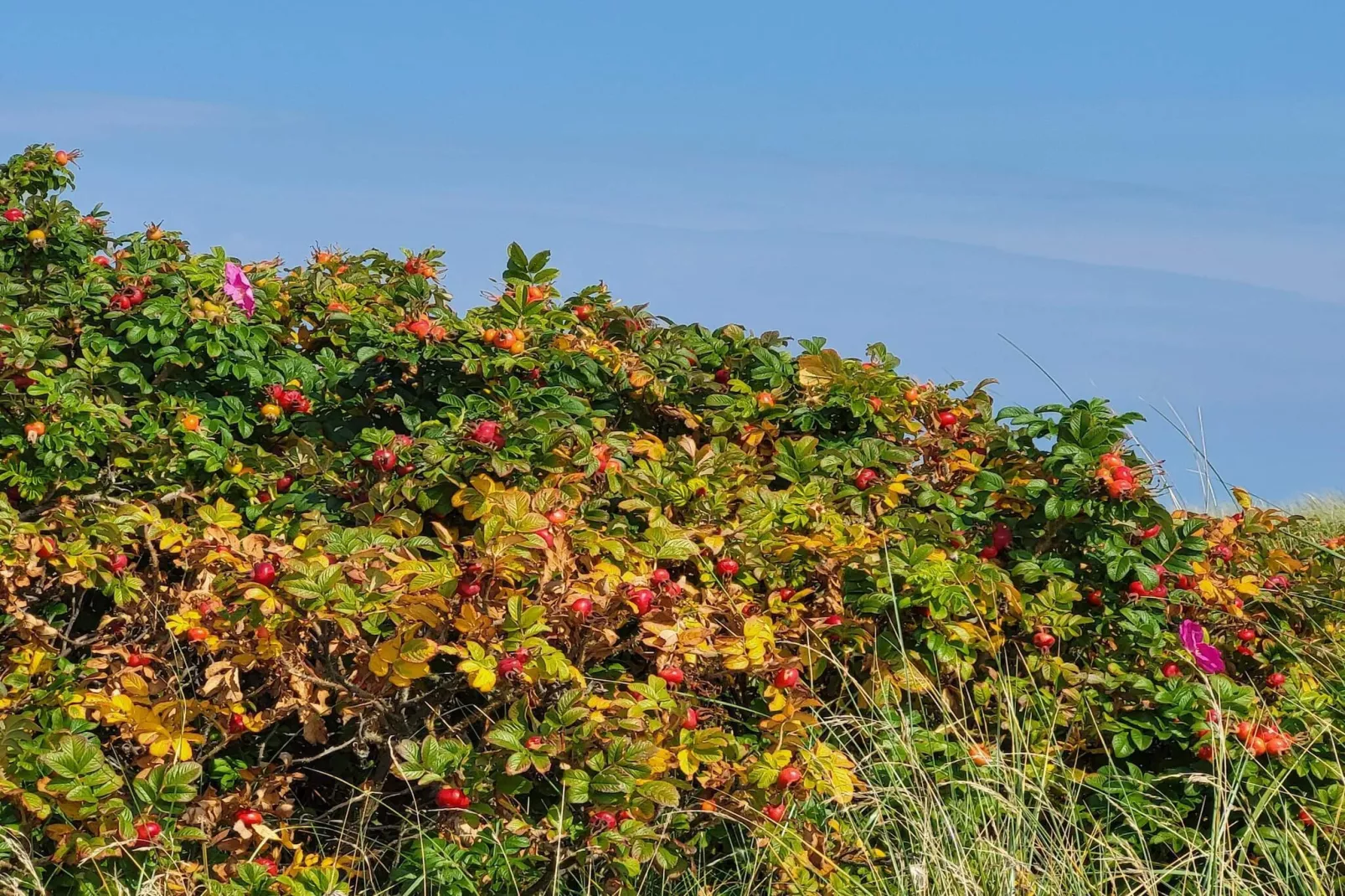 6 persoons vakantie huis in Sæby-By Traum-Niet-getagd