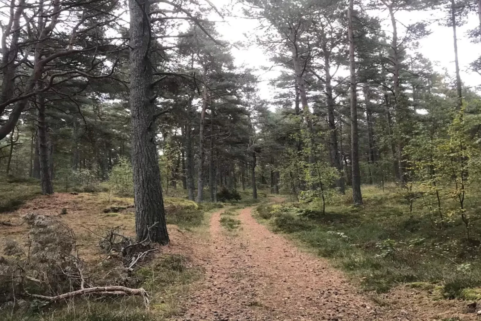 6 persoons vakantie huis in Löderup-By Traum-Niet-getagd