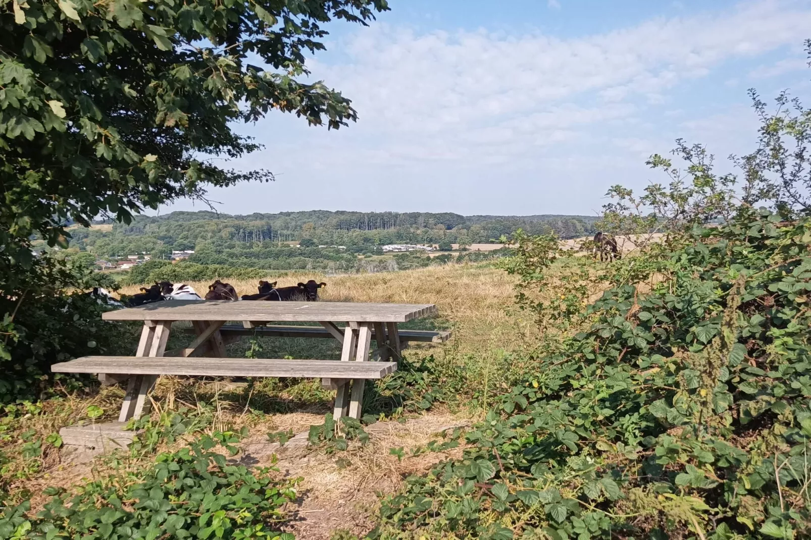 4 persoons vakantie huis in Haderslev-By Traum