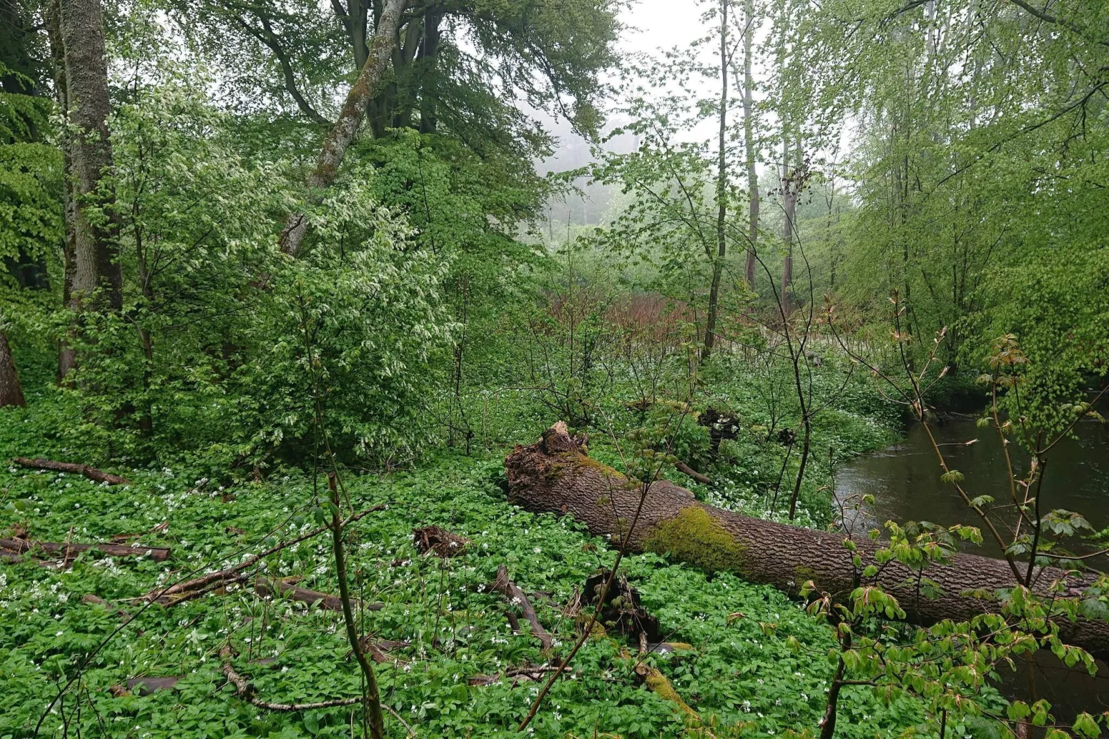 6 persoons vakantie huis in DEGEBERGA-By Traum-Niet-getagd