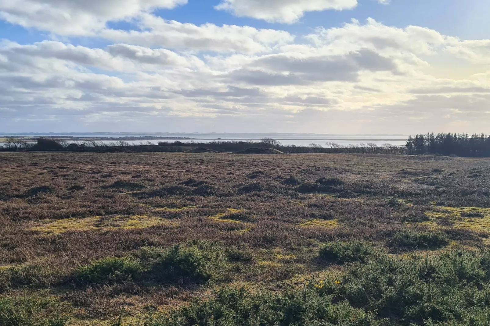 4 persoons vakantie huis in Hurup Thy-By Traum-Niet-getagd