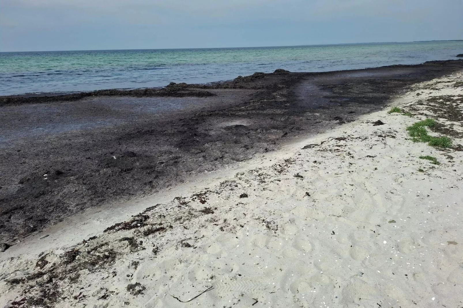 8 persoons vakantie huis in Dannemare-By Traum-Waterzicht