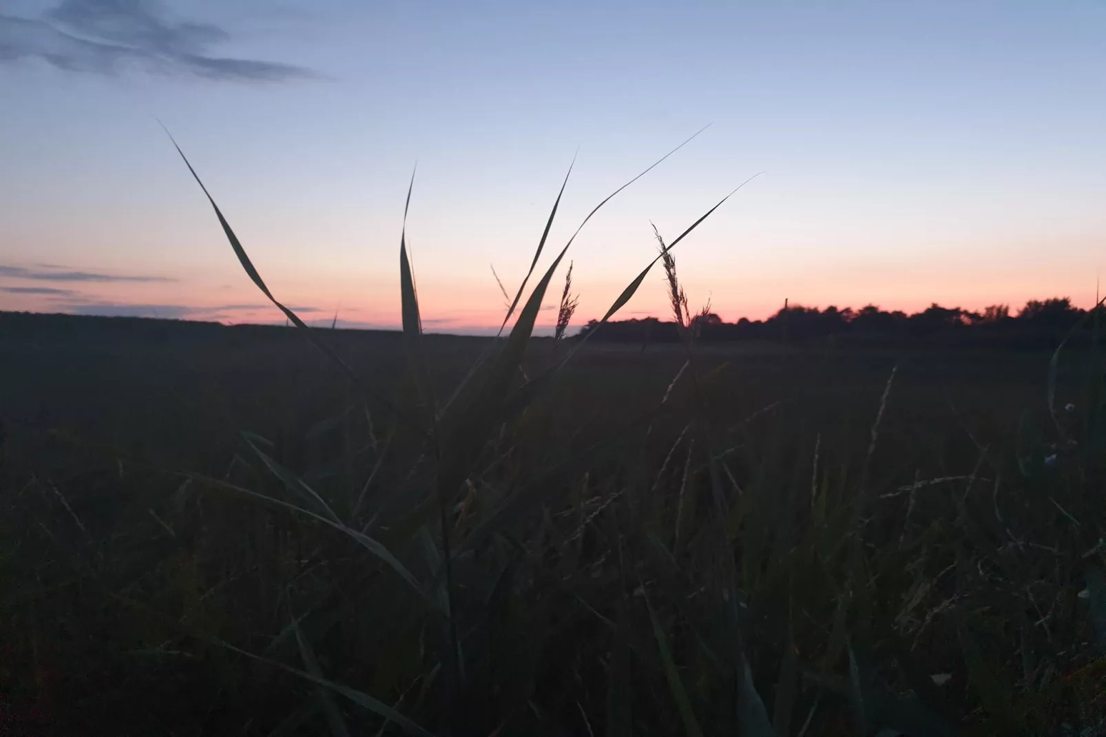 8 persoons vakantie huis in Rødby-By Traum