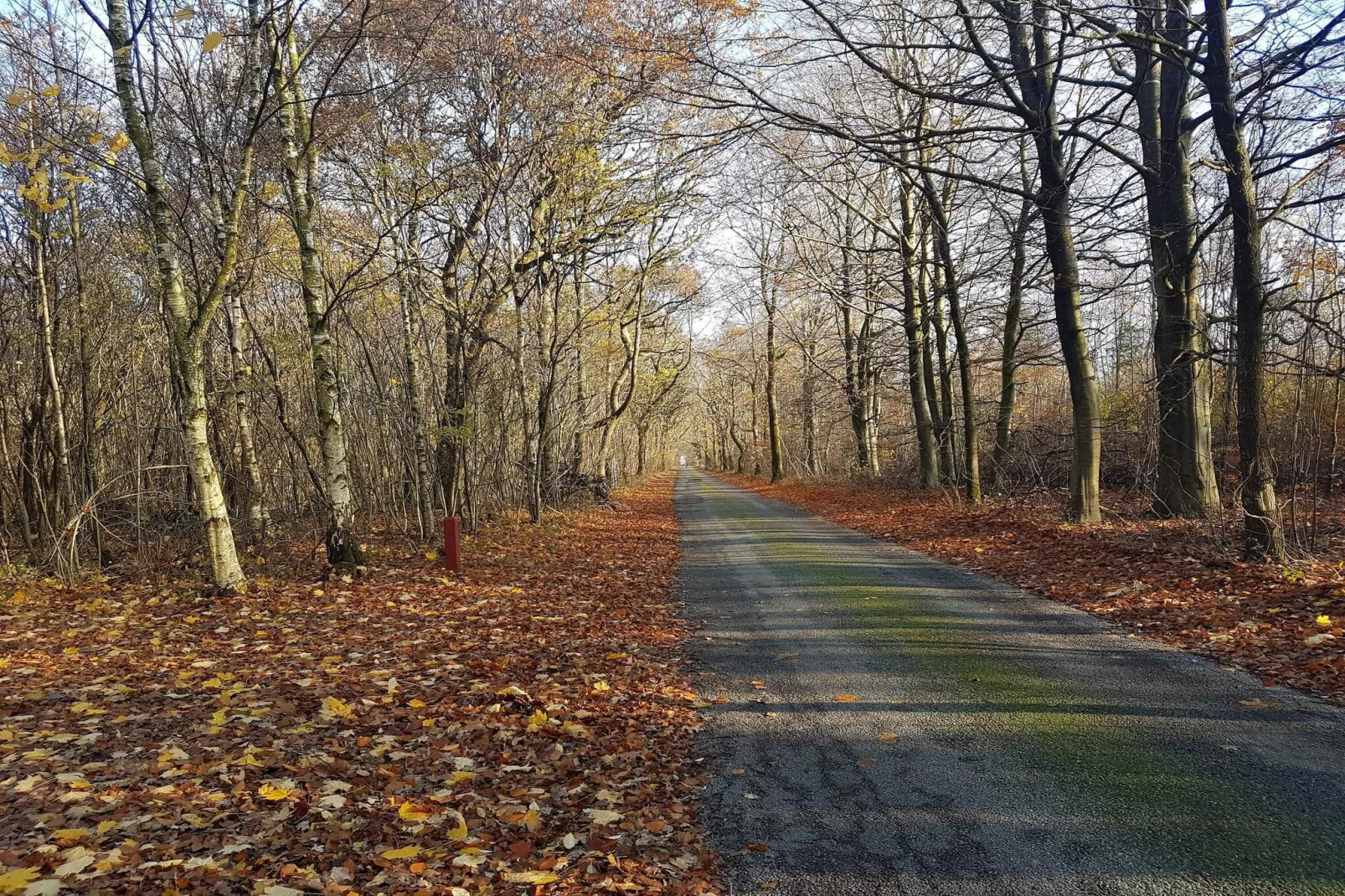 6 persoons vakantie huis in Toftlund-By Traum-Niet-getagd