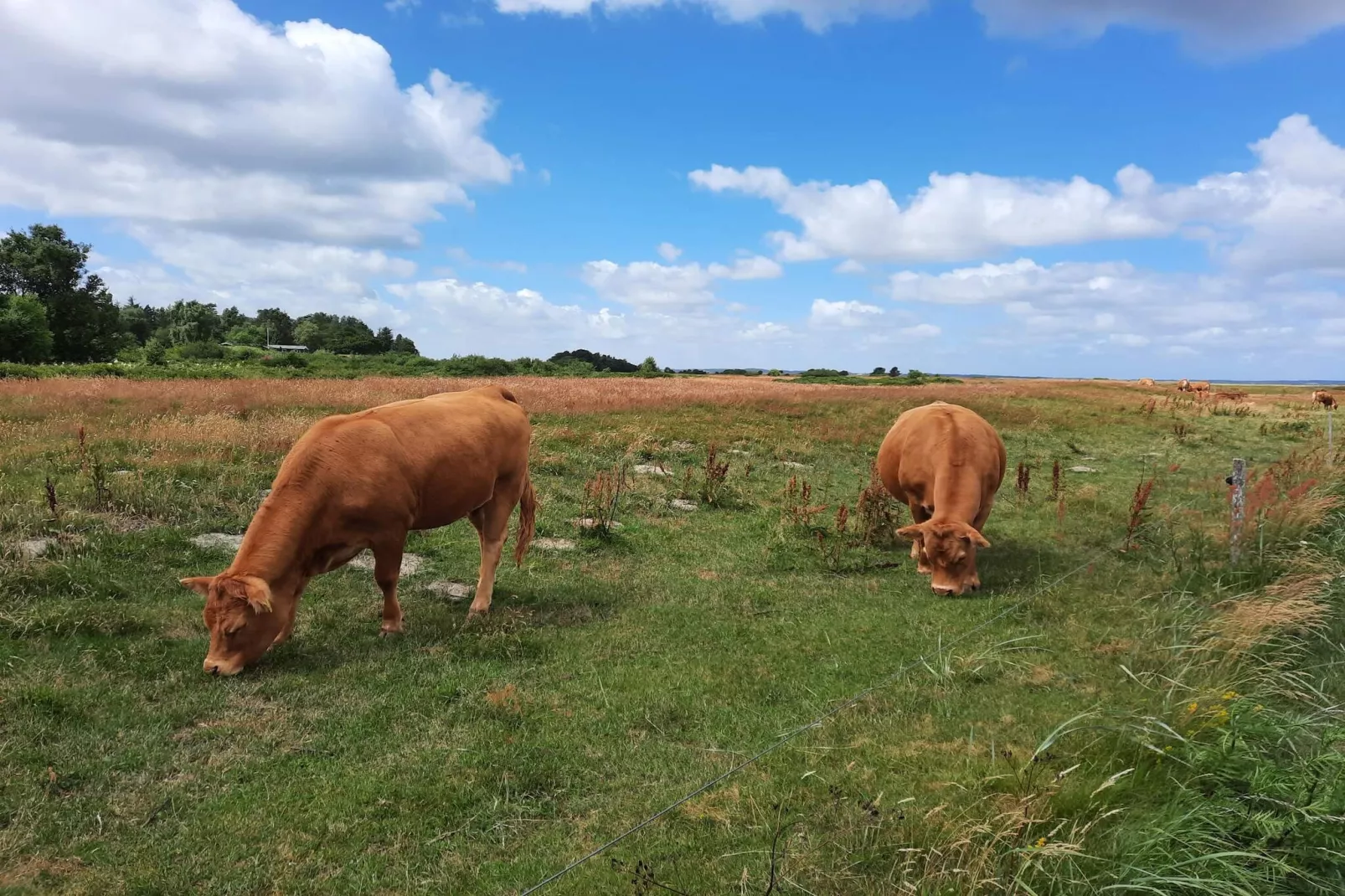 6 persoons vakantie huis in Højslev-By Traum-Niet-getagd