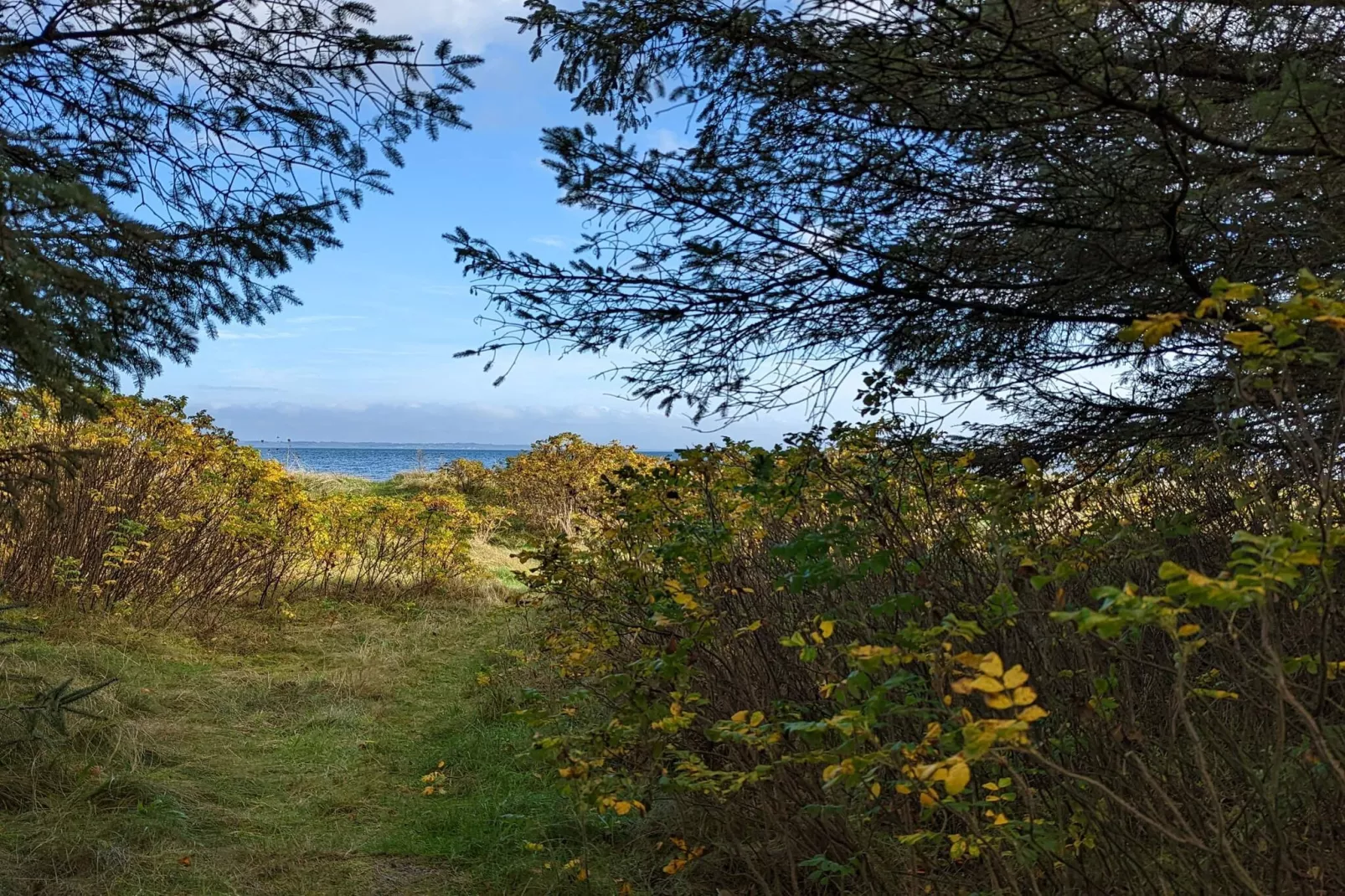 8 persoons vakantie huis in Thyholm-By Traum-Niet-getagd