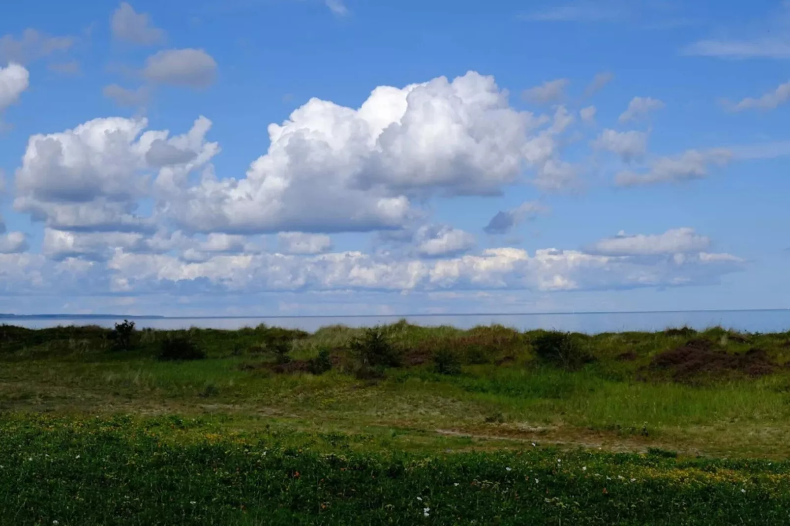 3 room, close to the sea/dike-Niet-getagd