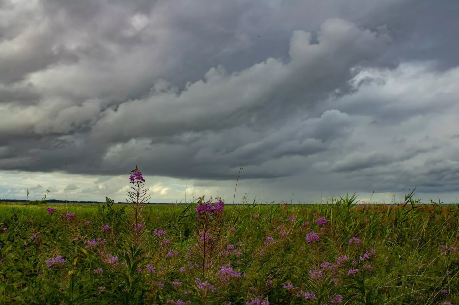 6 persoons vakantie huis in Nibe-By Traum