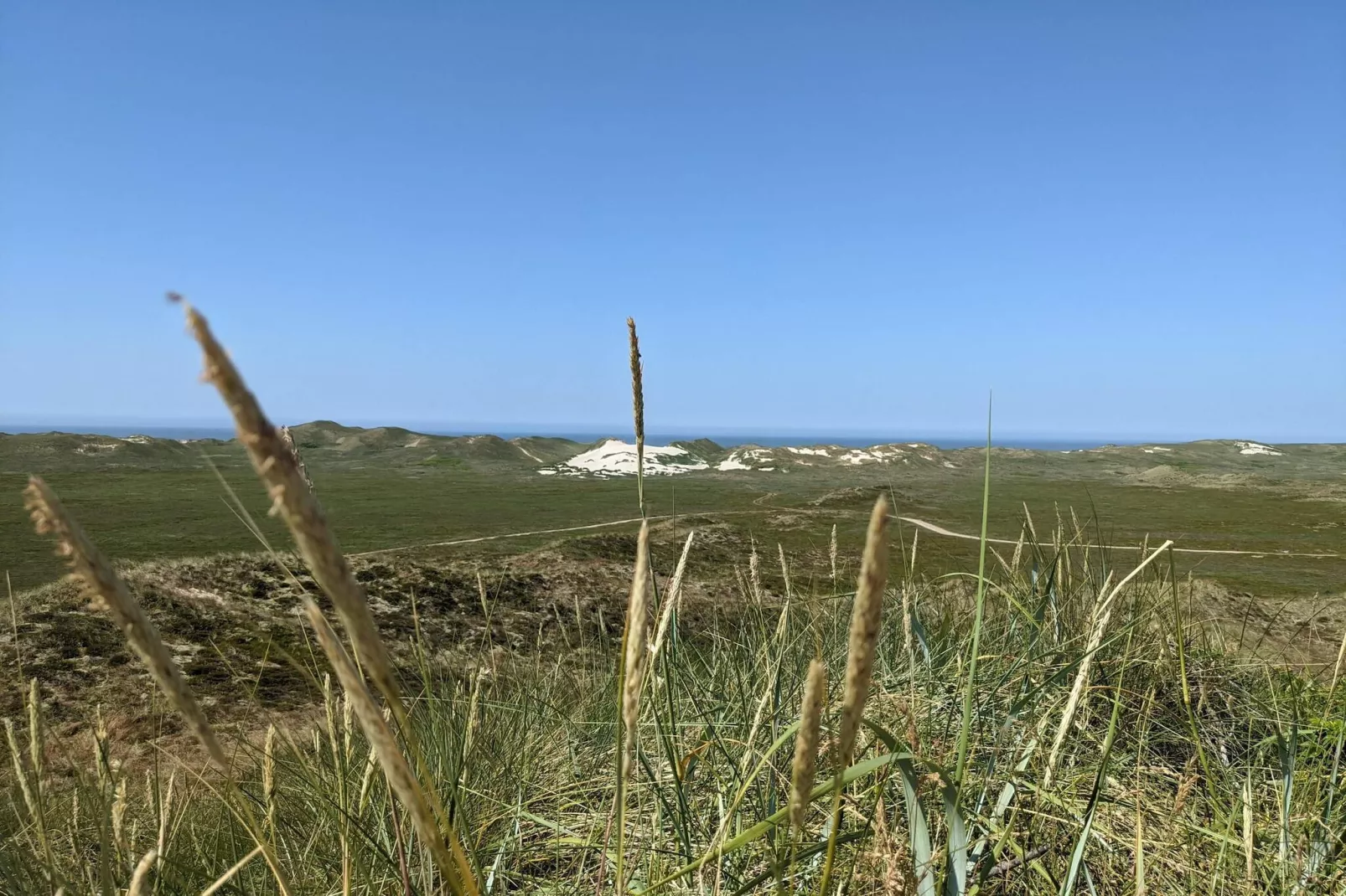Gezellig strandhuis -- By Traum Ferienwohnungen-Niet-getagd