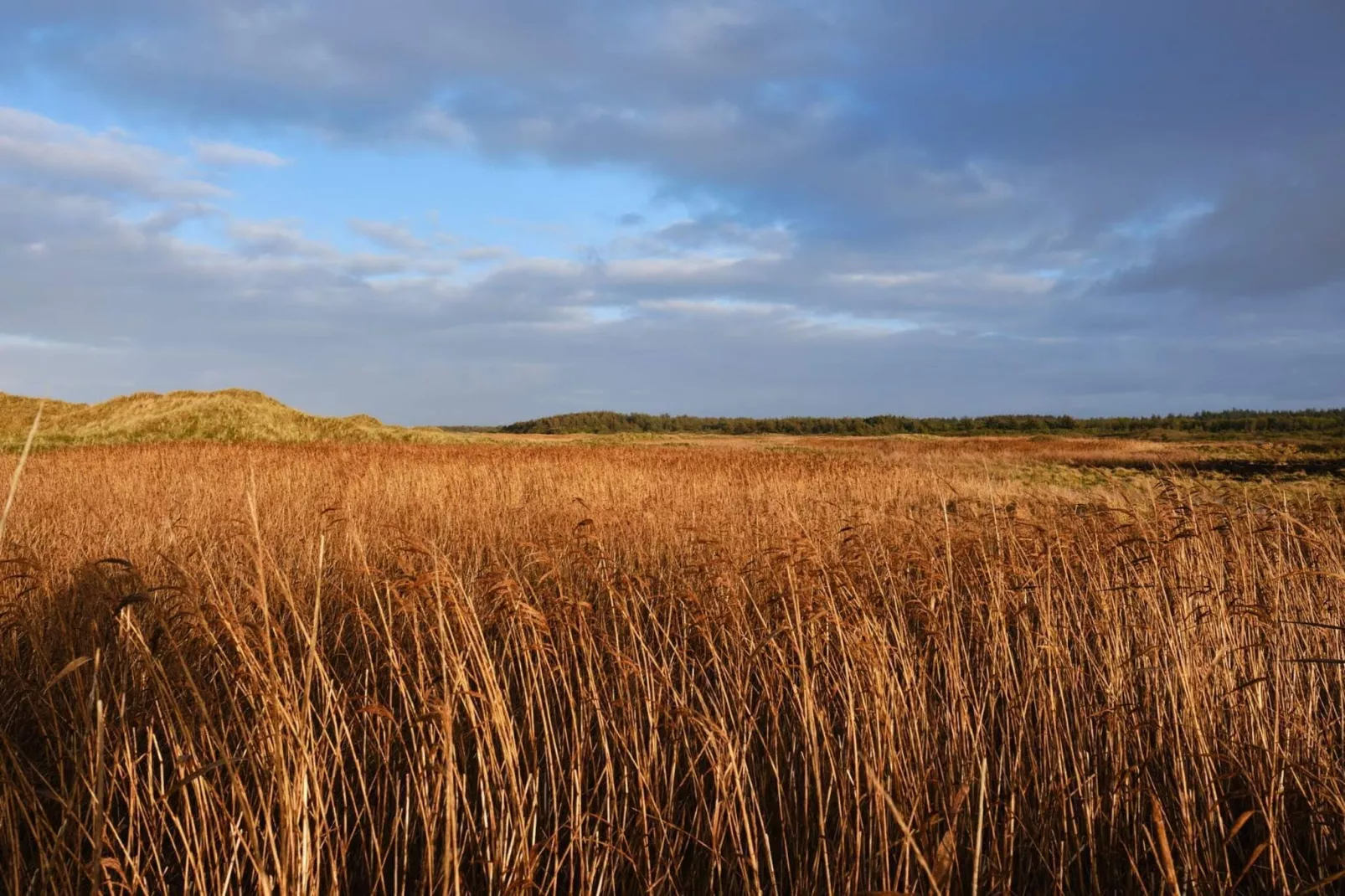 Wellness Retreat aan Zee -- By Traum Ferienwohnungen-Niet-getagd
