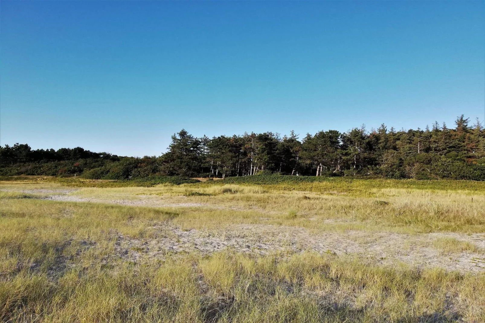 8 persoons vakantie huis in Ebeltoft-By Traum-Niet-getagd